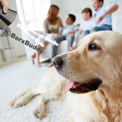 Peaceful Home Guide: 6 Reason Why Dog Owners Love BarxBuddy So Much